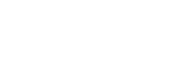 logo rona